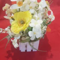 سبد های گل وارداتی|حراج|تهران, دکتر هوشیار|دیوار