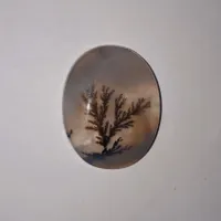 سنگ نگین شجر