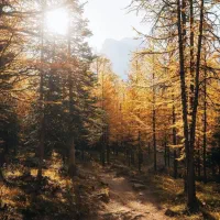 آینده بینی فال معشوق محبت و شغل تضمینی