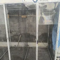 قفس|لوازم جانبی حیوانات|سیرجان, |دیوار