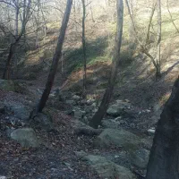 تور تفریحی رایگان|تور و چارتر|بابلسر, |دیوار