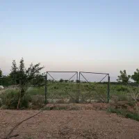 باغ پسته 1.6هکتاری|فروش زمین و ملک کلنگی|دشتابی, |دیوار