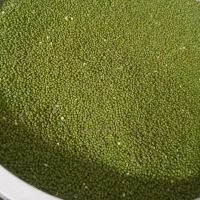 انواع پرنده ،لوازم جانبی،و دان پرندگان|پرنده|مسجد سلیمان, |دیوار