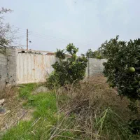 فروش زمین مسکونی ۲۶۰ متری با پروانه ساخت/سندتک برگ|فروش زمین و ملک کلنگی|کیاکلا, |دیوار