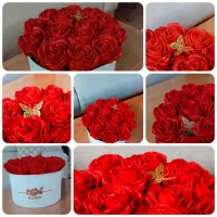 گل ربانی|گل مصنوعی|قم, صفائیه|دیوار