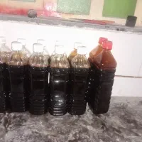 رب انار