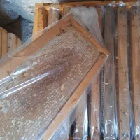 عسل خالص سبلان|خوردنی و آشامیدنی|مشگین شهر, |دیوار