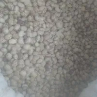 برای لوبیا چیتی درجه یک