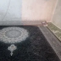 فروش یک تخته فرش نو|فرش|نورآباد ممسنی, |دیوار