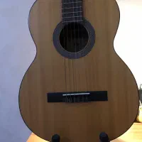 گیتارکورت +کیف+۳پایه +زیر پایی گیتار و۲عدفتر نت