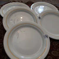 بشقاب چینی زرین