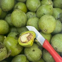 گردو کاغذی