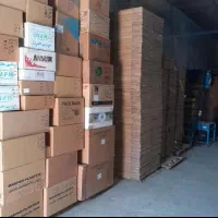 فروش کارتون موزی