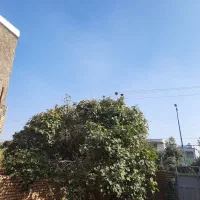 ملک تجاری سر اصلی کلدوزخ ۲ با سند و پروانه