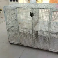 قفس پرنده|لوازم جانبی حیوانات|بندر ماهشهر, |دیوار