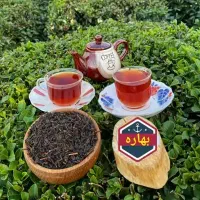 چای اصیل شمال با عطر طبیعت