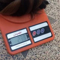 خریدار. مو های شما . هستم