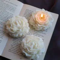 نوری با عشق در کنار وجود شما|صنایع دستی و سایر لوازم تزئینی|فیروزآباد (فارس), |دیوار