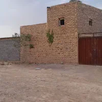 گوسفندباربند دام