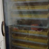 دستگاه جوجه کشی دماوند