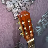 گیتار مدل Bestfun E150|گیتار، بیس، امپلیفایر|شیراز, شهرک فرهنگیان|دیوار