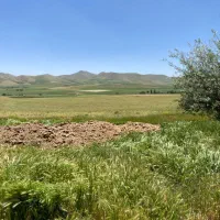 زمین کشاورزی