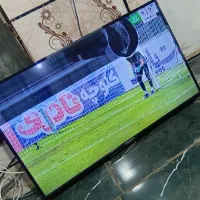 تلویزیون|تلویزیون و پروژکتور|زابل, |دیوار