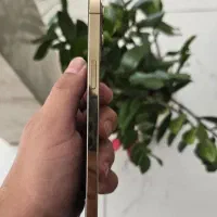 Iphone 12pro max|موبایل|اصفهان, شهرک کاوه|دیوار
