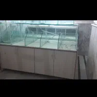 دکور خشکبار|فروشگاه و مغازه|مشهد, زمرد|دیوار