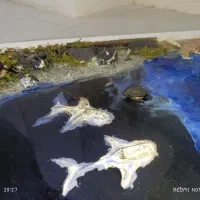 تابلوی رزین دریا|تابلو، نقاشی، عکس|قزوین, |دیوار