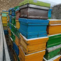 فروش کندو و طبق|حیوانات مزرعه|محمدبار, |دیوار