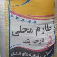 برنج طارم محلی مازندران
