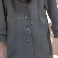 پالتو نوک مدادی