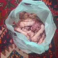 اسکیلت مرغ گرم