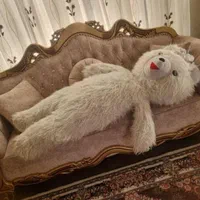 دوتاخرس بزرگ فروشی با قد عکس اولی ۱۵۰|اسباب‌بازی بچه|ارومیه, |دیوار