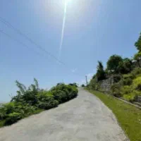 مشارکت ابریشم محله اربه کله ازمتراژ300تا3000هزار|مشارکت در ساخت املاک|رامسر, |دیوار