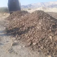 کودمرغ به شرط