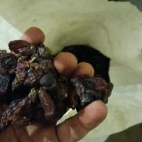 کشمش|خوردنی و آشامیدنی|ساوه, |دیوار