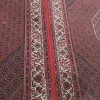 فرش|فرش|زنجان, |دیوار