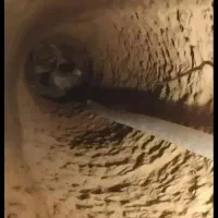 چاه کنی|خدمات پیشه و مهارت|یزد, |دیوار