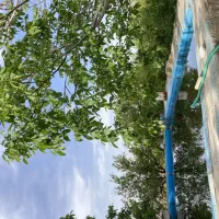 فروش-باغ-در-کهک
