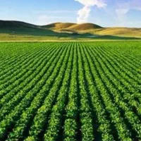 زمین-کشاوری-جاده-خربل