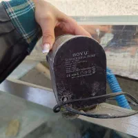 اکواریوم|ماهی|محمدشهر, محمدشهر|دیوار