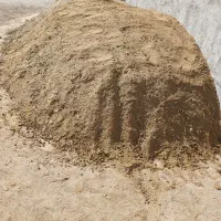 کودگوسفندی|گل و گیاه طبیعی|کاشان, فاز ۱ ناجی آباد|دیوار