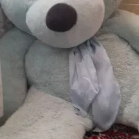 خرس بزرگ رنگ ابی