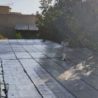 ایزوگام و قیرگونی دولایه ـ مجید میلانی|خدمات پیشه و مهارت|نطنز, |دیوار