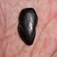 پنچ قطعه شهاب سنگ فوق کلکسیونی