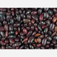 لوبیا قرمز خارجی