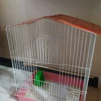 قفس پرنده