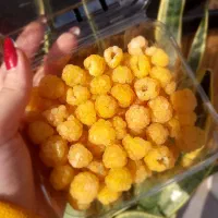 پخش رزبری ومیوه های استوایی در رشت|خوردنی و آشامیدنی|رشت, پستک|دیوار